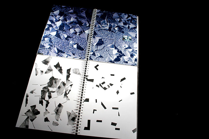 thesis book image with leaf images